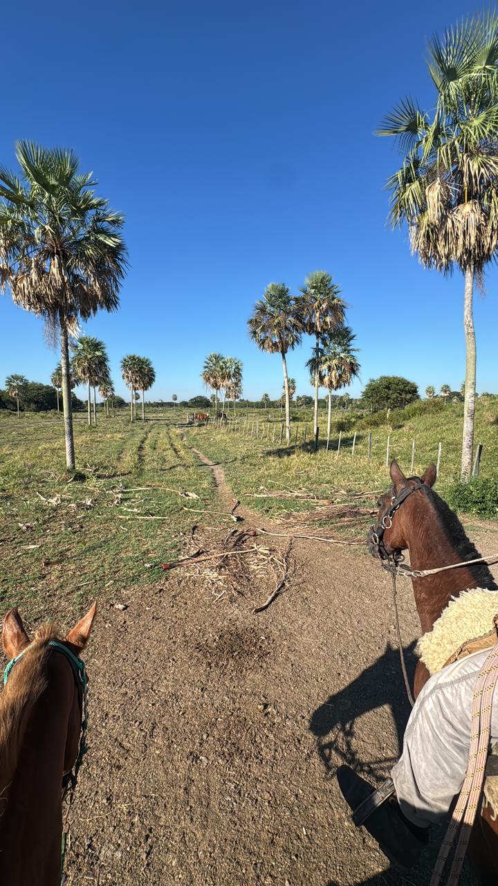 Recorrido de campo a caballo